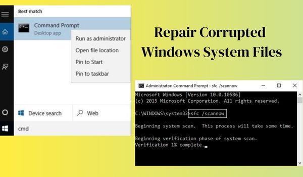 How To Fix Windows 10 Update Error 0x80080008 | 8 Easy Tips